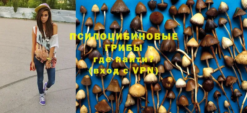 ОМГ ОМГ маркетплейс  Новомичуринск  Псилоцибиновые грибы Psilocybine cubensis  дарнет шоп 